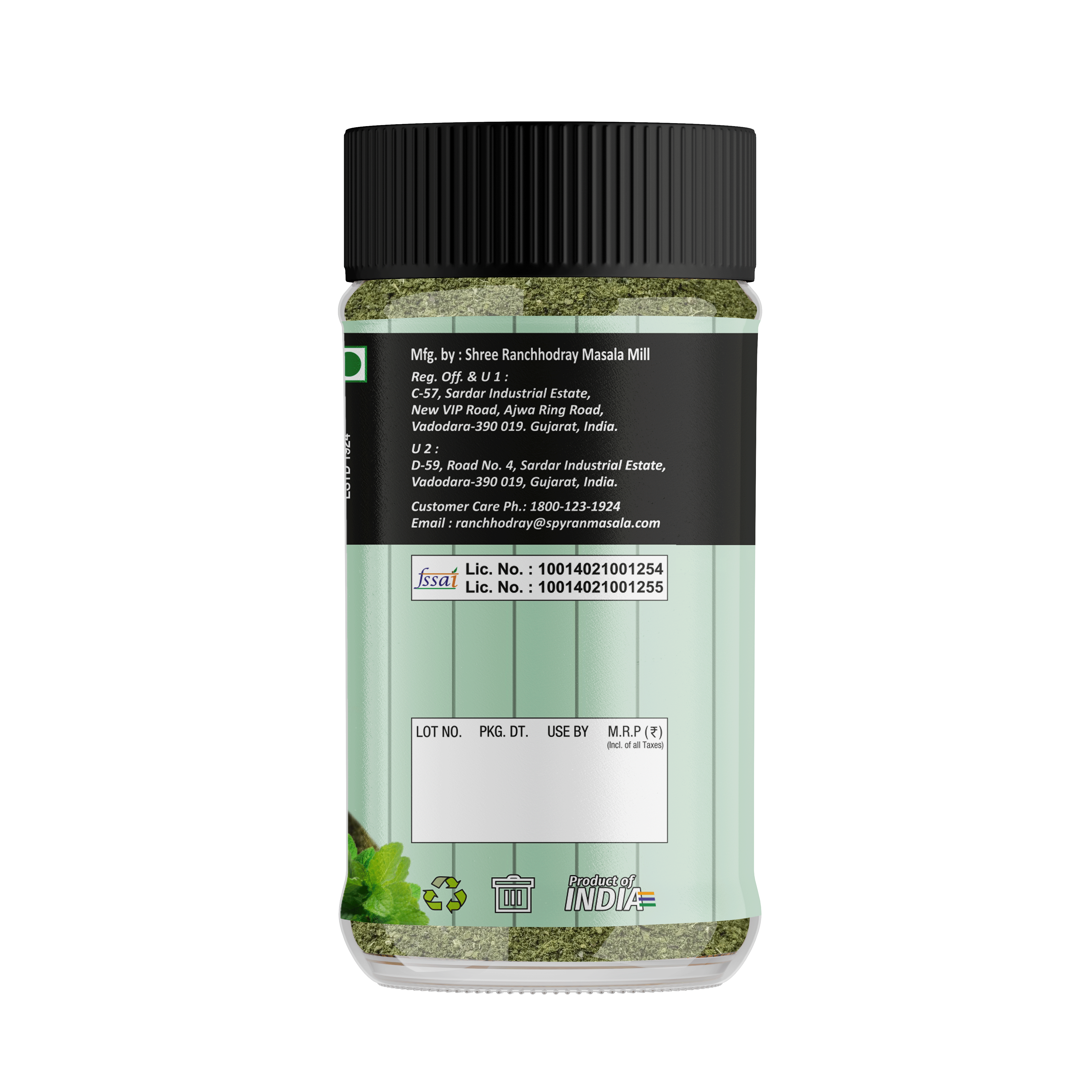 Fudina/Mint Chutney Powder